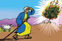 IMAGE 14. MOISE ET LE BUISSON ARDENT